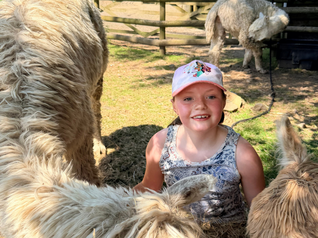 Lydford Gorge Alpacas-Lydford必去景点