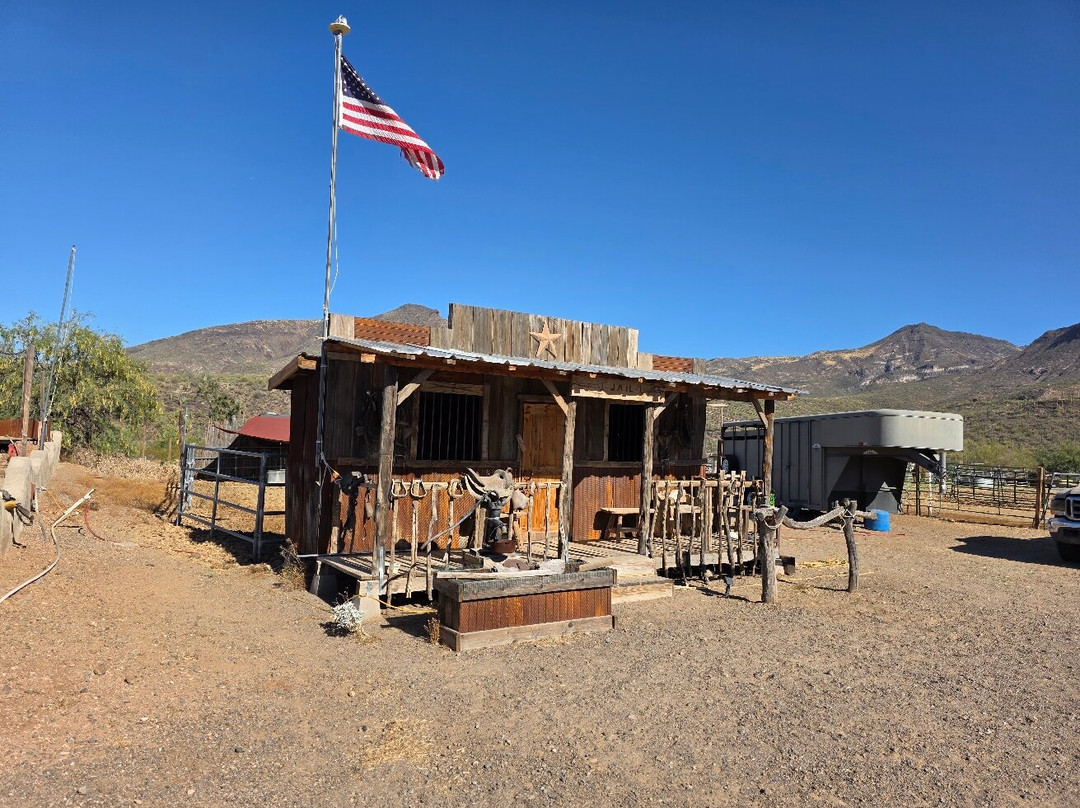 Arizona Horseback Adventures at Spur Cross-洞溪必去景点