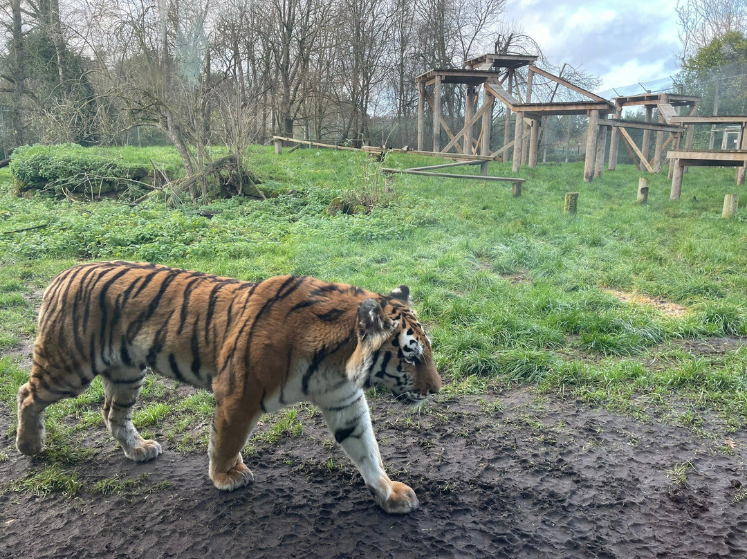 Banham Zoo-Banham必去景点