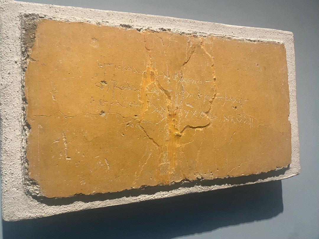 Museo archeologico di Stabiae "Libero D’Orsi"-斯塔比亚海堡必去景点