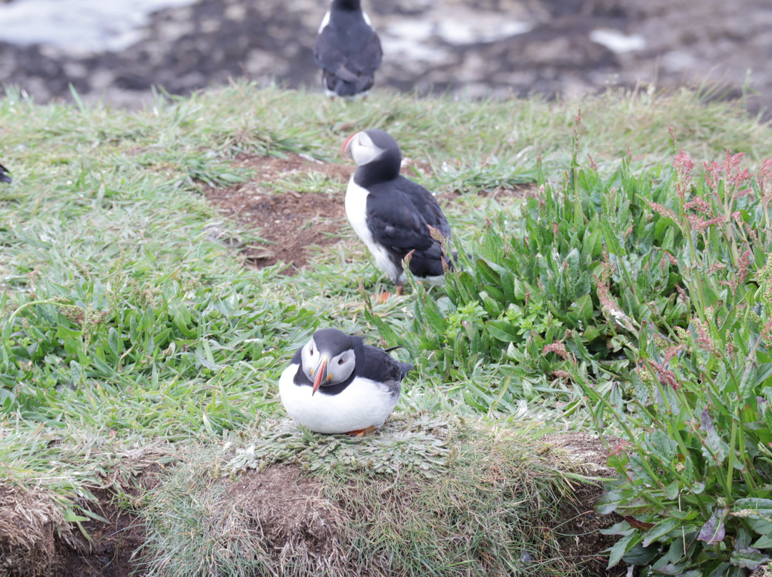Isle of Lunga-The Hebrides必去景点