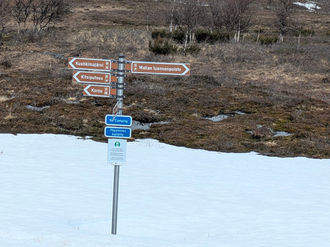 Malla Strict Nature Reserve-Enontekiö必去景点