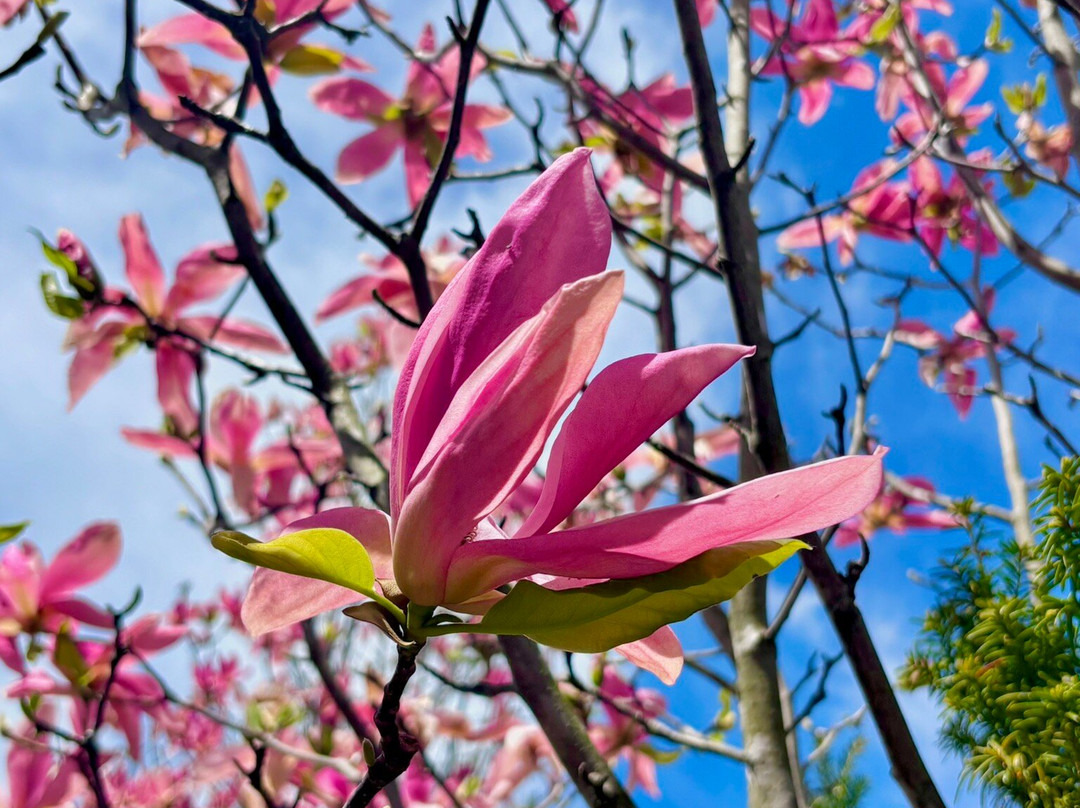 Whistling Gardens-Wilsonville必去景点