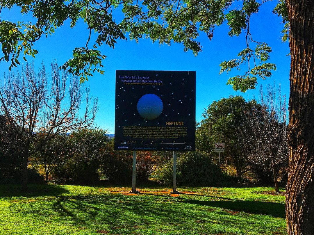 Silo Art Dunedoo-Dunedoo必去景点