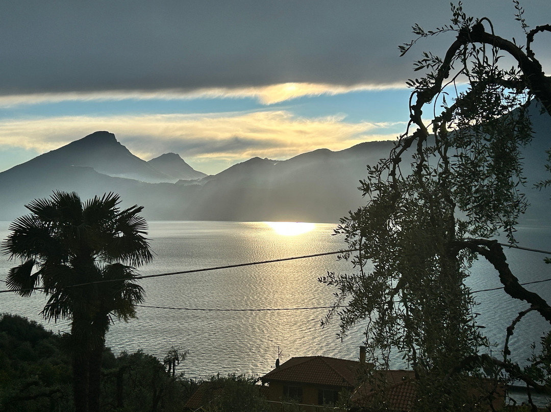 Agriturismo Uliveta