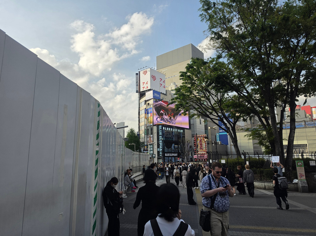 Giant 3d Cat Display Billboard
