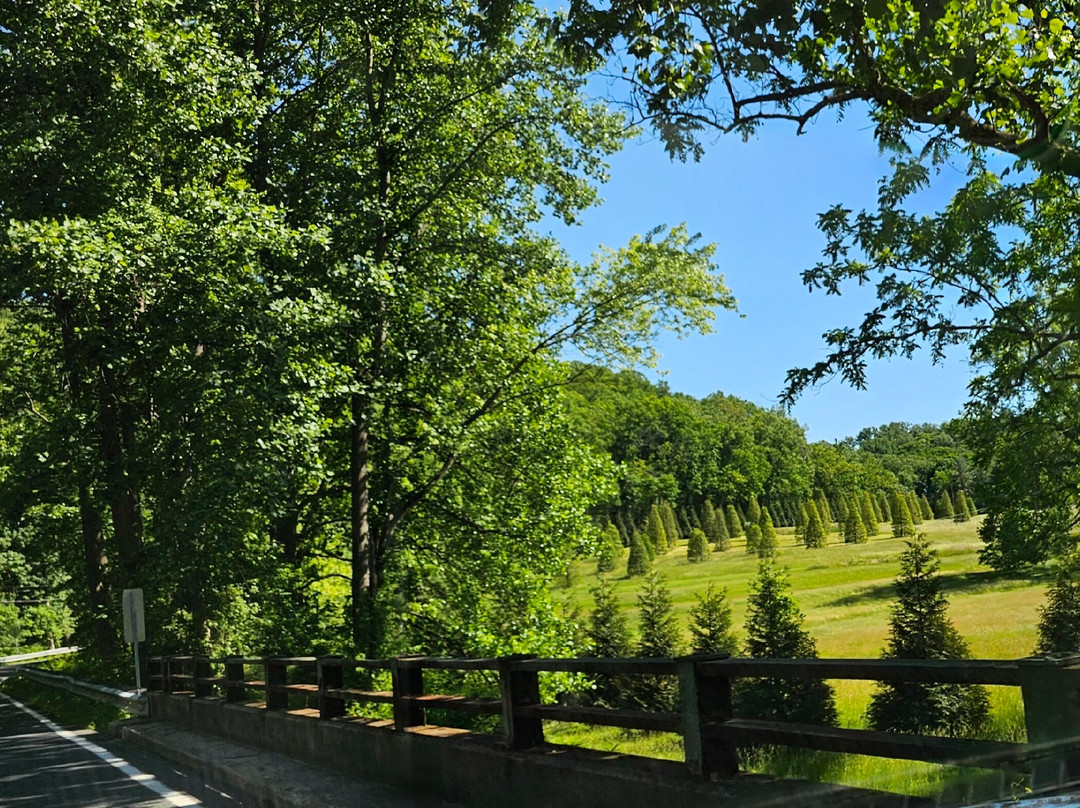Clark Bridge over Deer Creek-Street必去景点