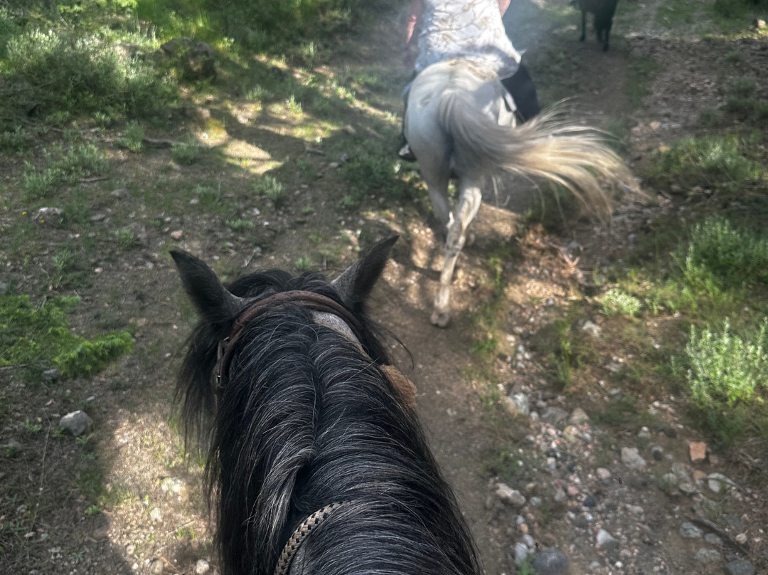 Horse Riding Albania-Leskovik必去景点