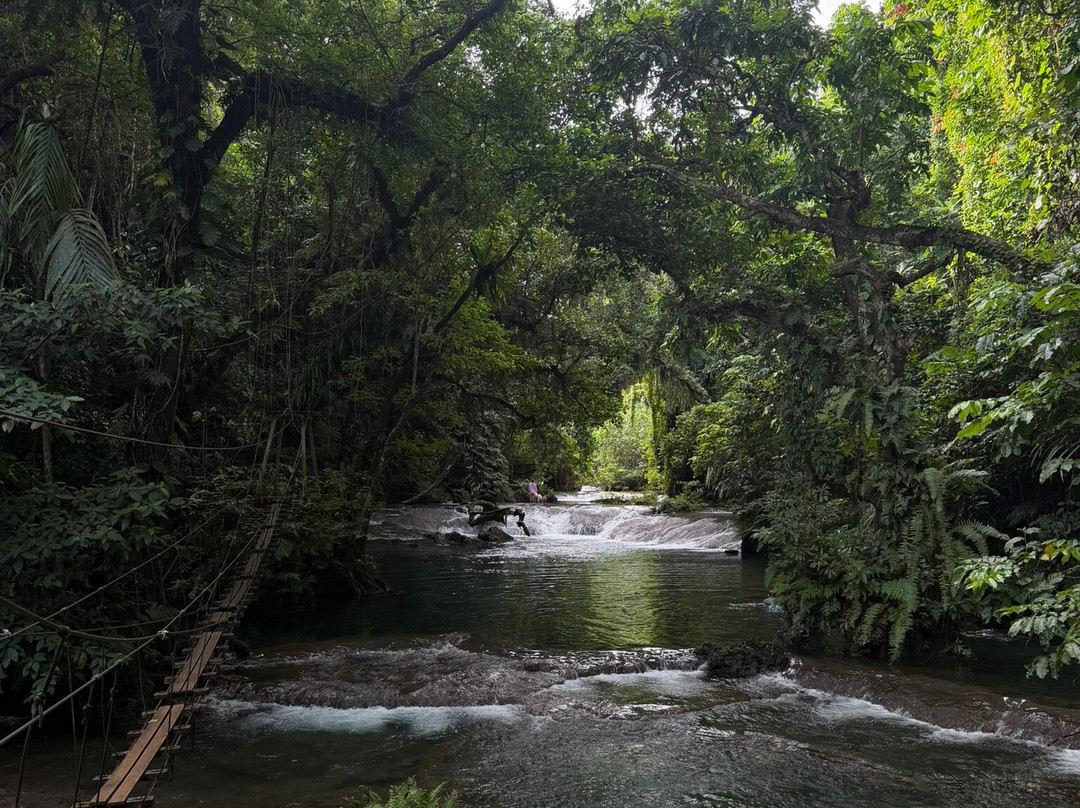 Eden on the River-维拉港必去景点