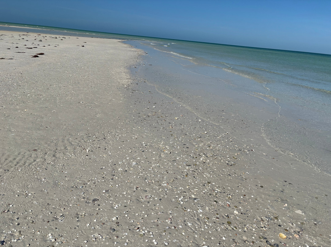 Anclote Key Preserve State Park-新里奇港必去景点