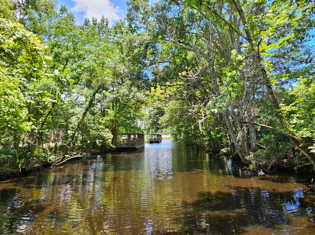 Bayou Teche Experience-布里奥克斯桥必去景点