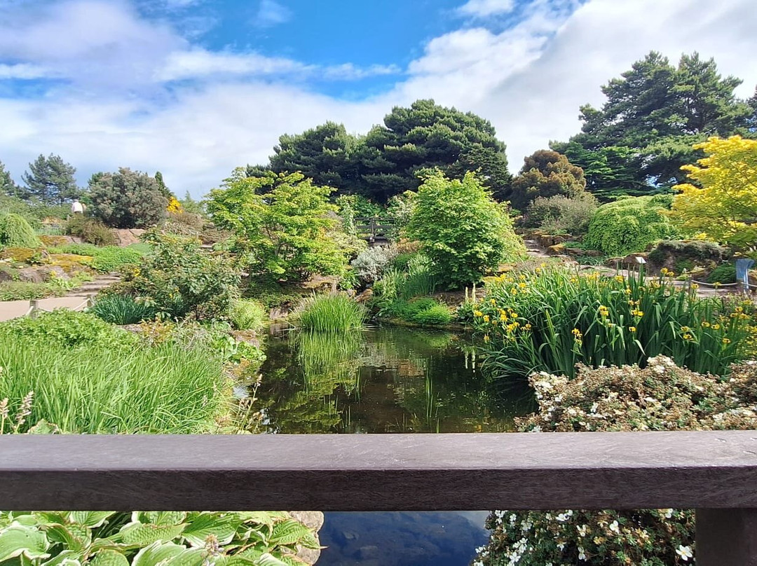 爱丁堡皇家植物园-爱丁堡必去景点