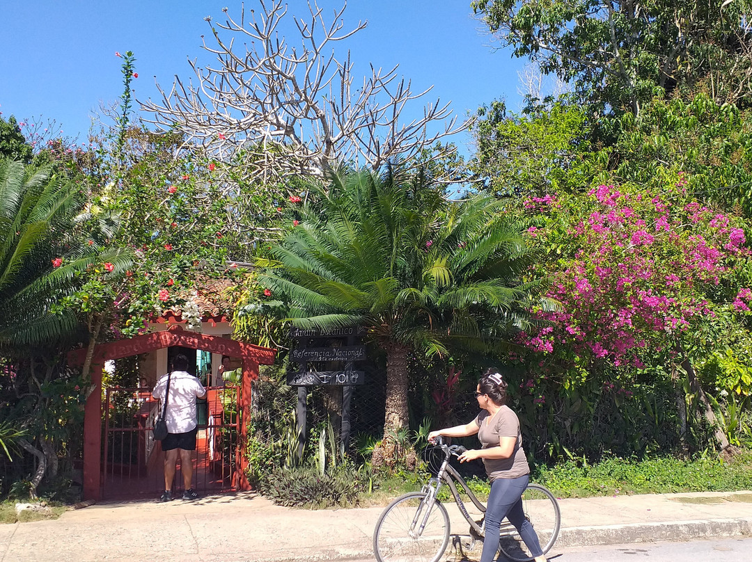 Jardin Botanico de Viñales-维纳勒斯必去景点