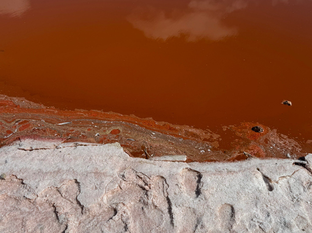 Laguna Salada de Torrevieja-托雷维耶哈必去景点