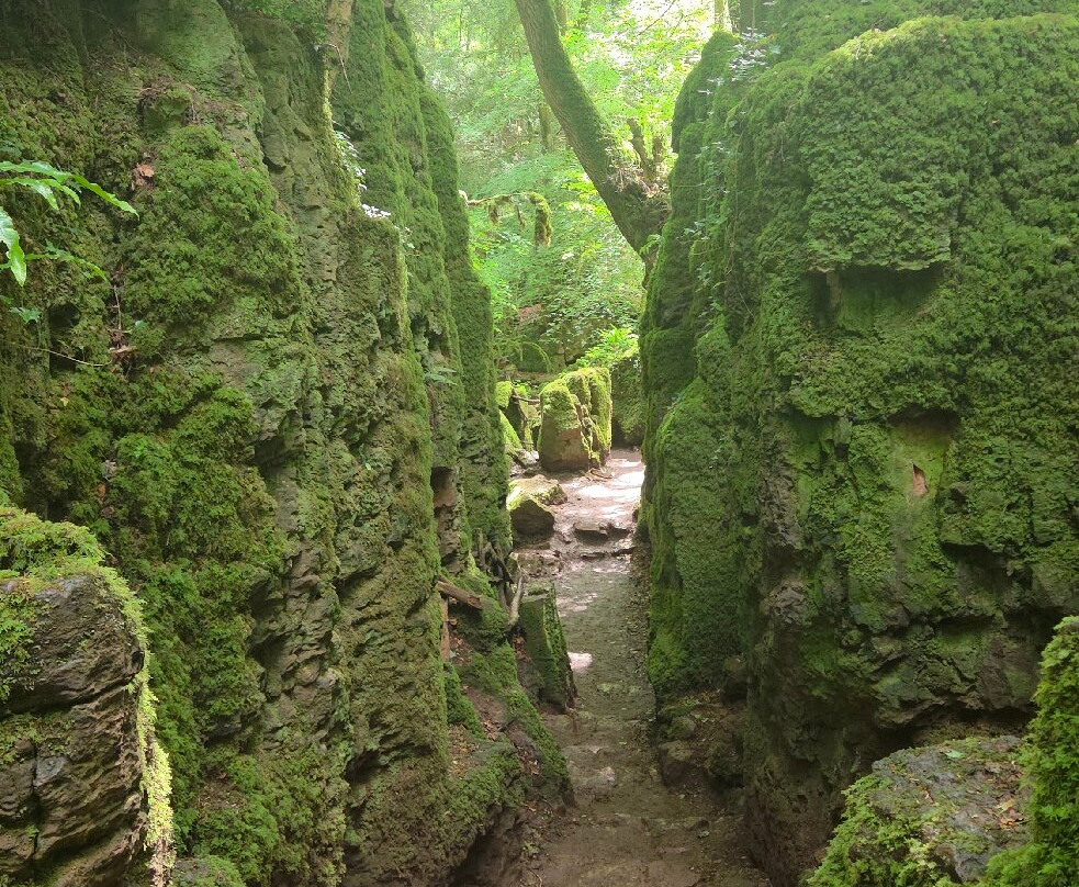 Puzzlewood-Coleford必去景点
