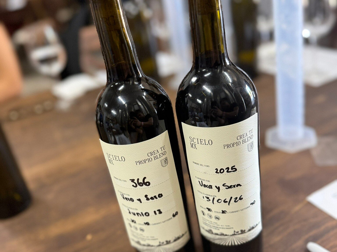 Bodega RGMX-Parras de la Fuente必去景点