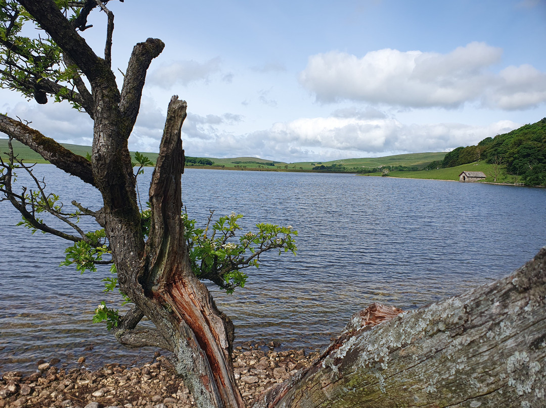 Malham Tarn-Malham必去景点