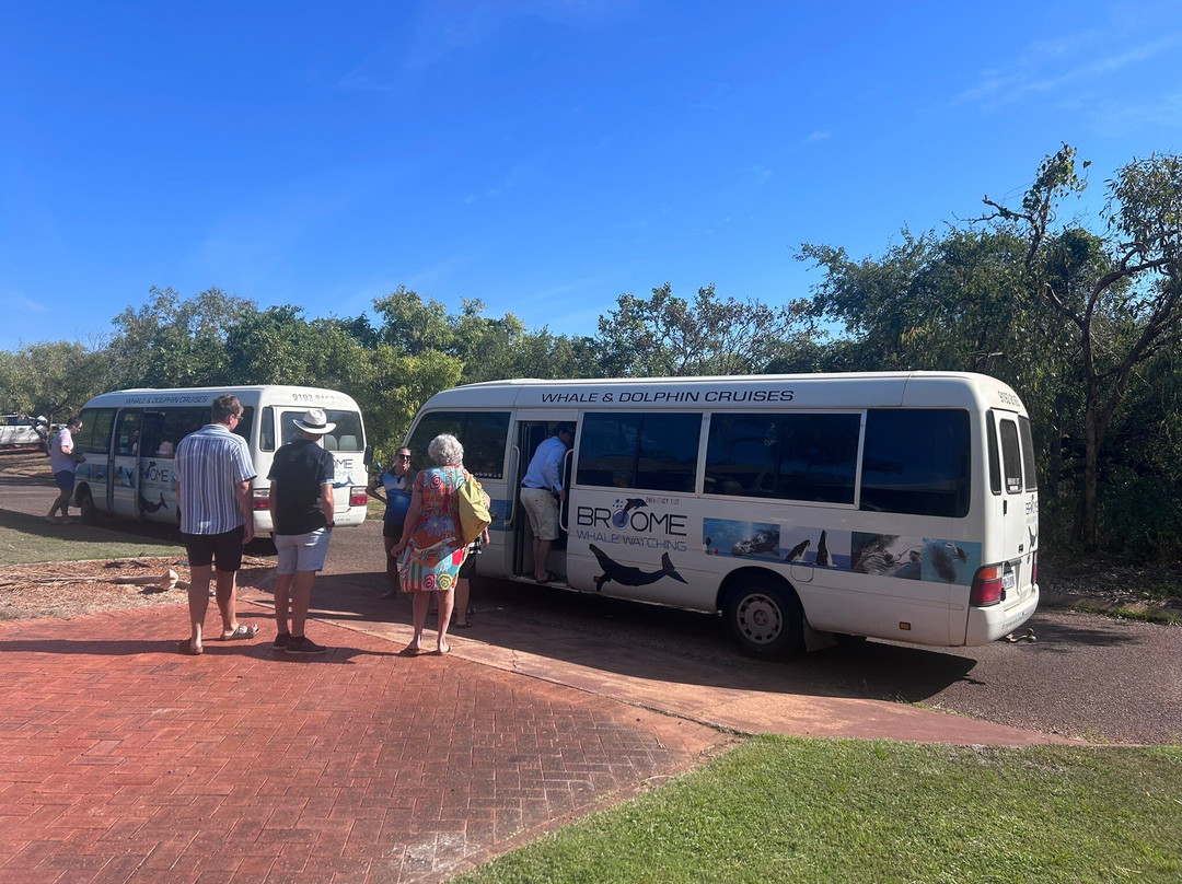 Broome Whale Watching-布鲁姆必去景点