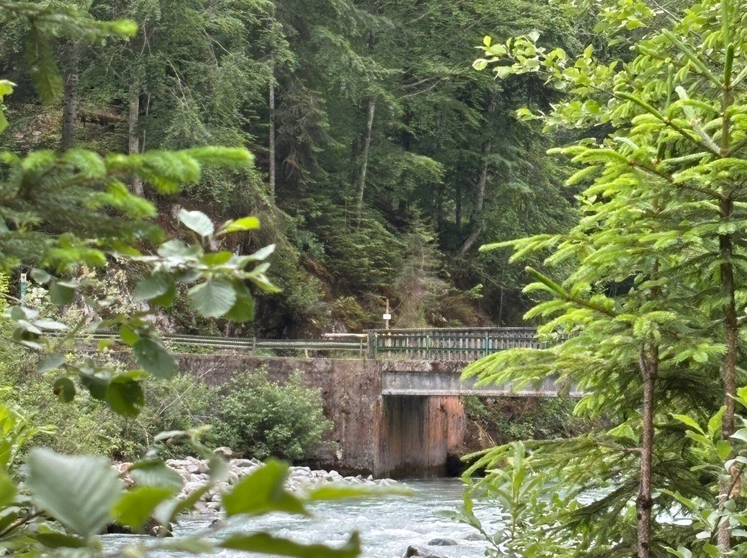 Nardis Waterfalls-Carisolo必去景点