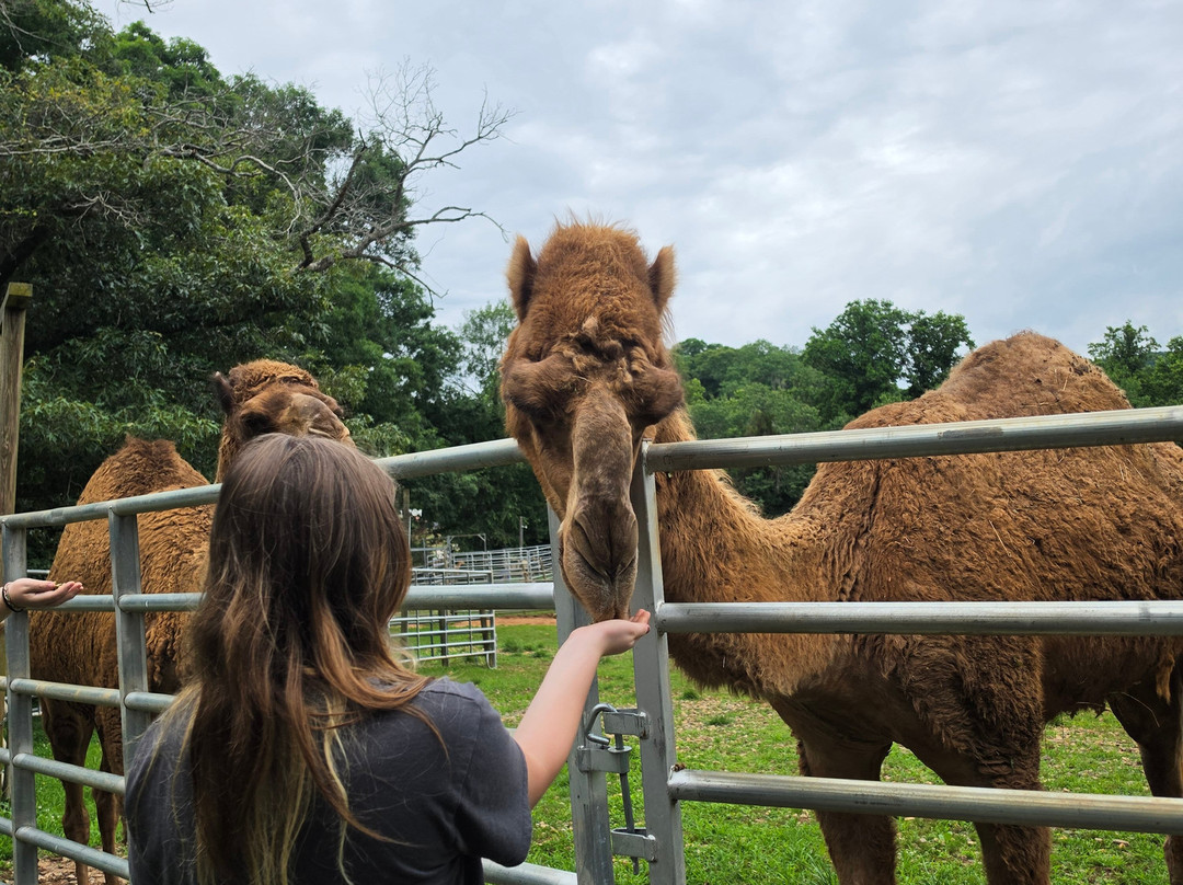 North Georgia Wildlife Park-Cleveland必去景点