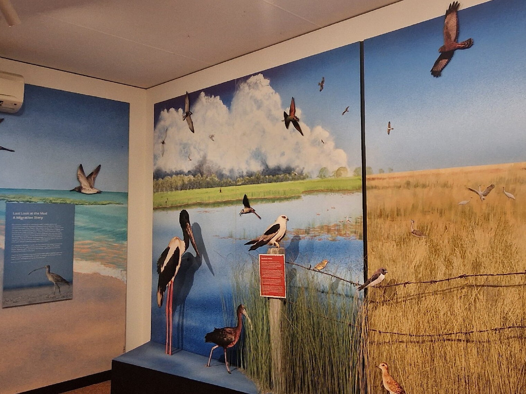 Broome Bird Observatory-布鲁姆必去景点
