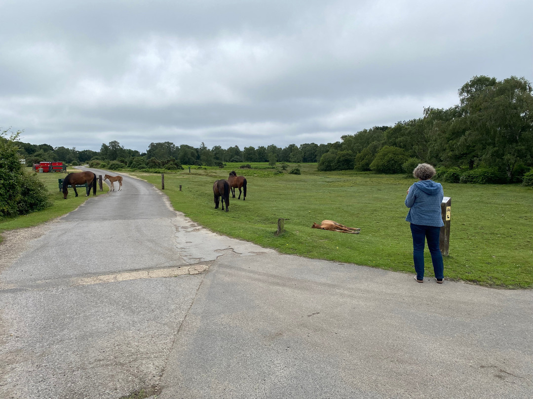 Roundhill Campsite