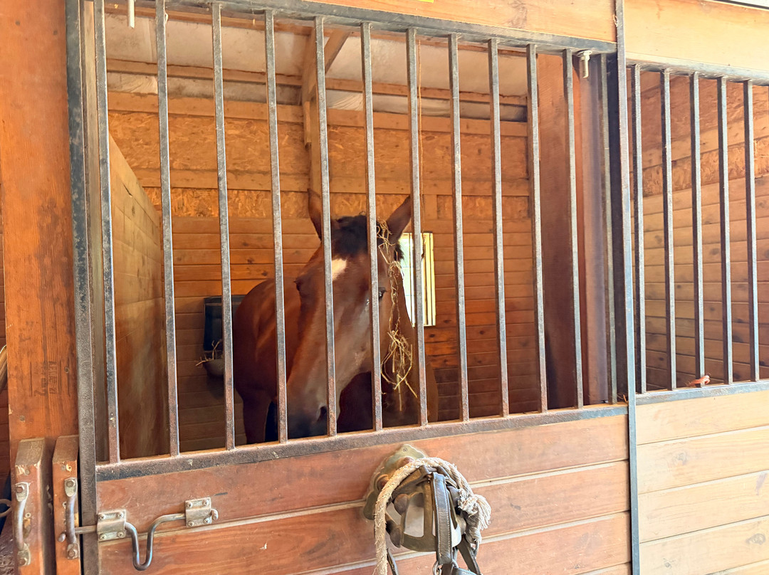 Bluegrass Country Estate主图