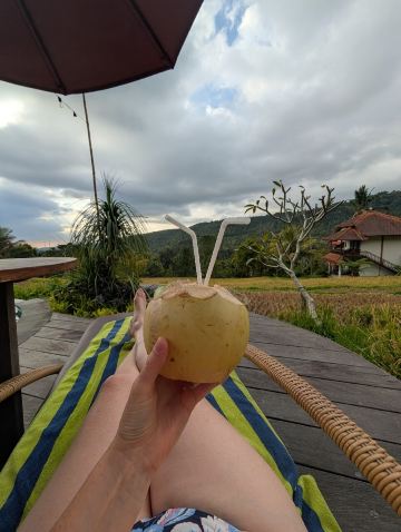 乐颂酒店及餐厅-旅行者