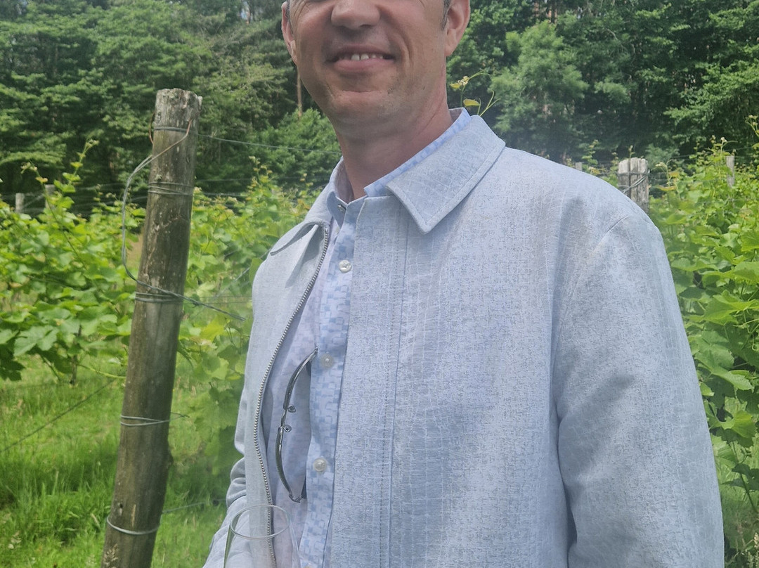 Sedlescombe Organic Vineyard-Sedlescombe必去景点