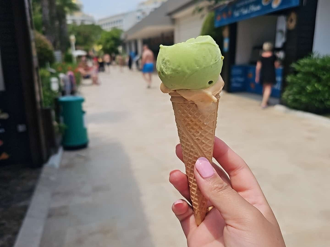 海豚大度假酒店主图