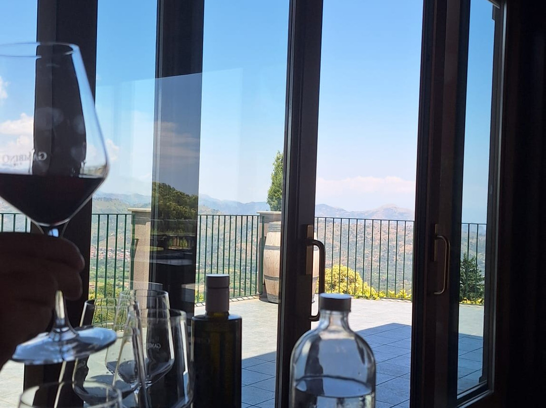Gambino Winery-林瓜格洛萨必去景点