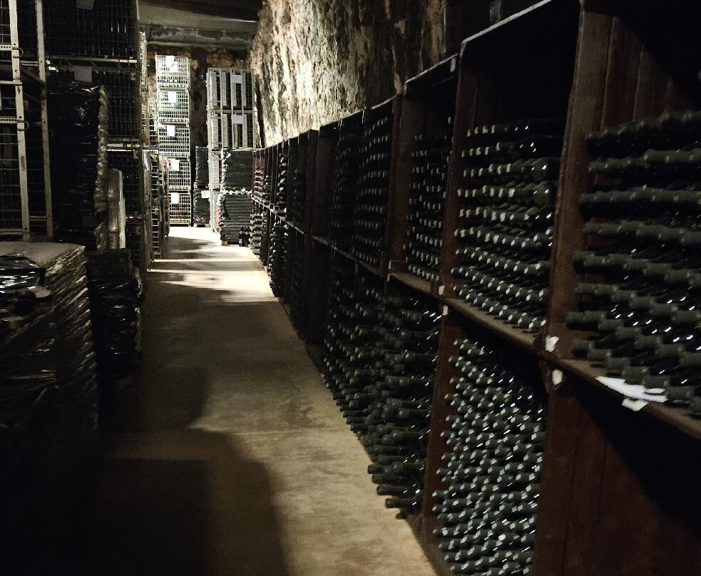 Cantine Polvanera-Gioia del Colle必去景点