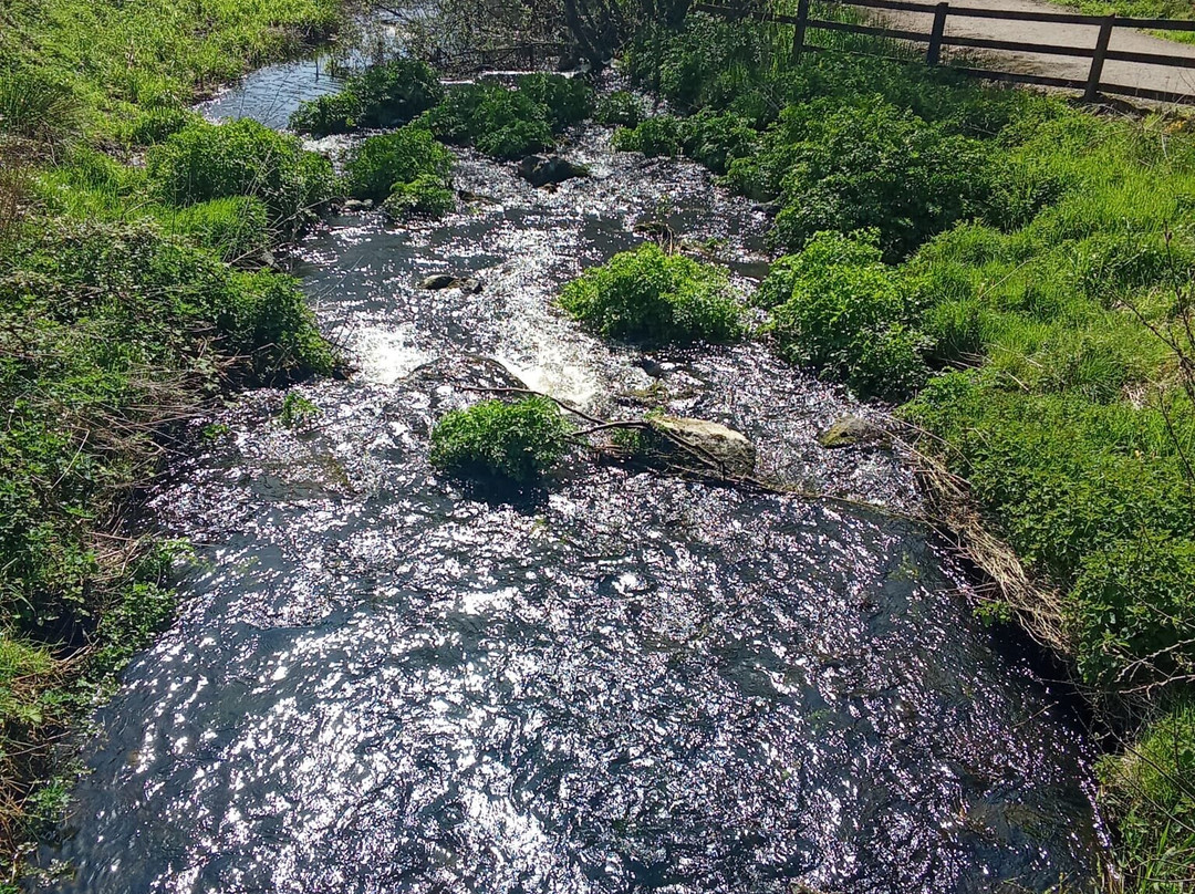 Anne Valley Walk-Dunhill必去景点