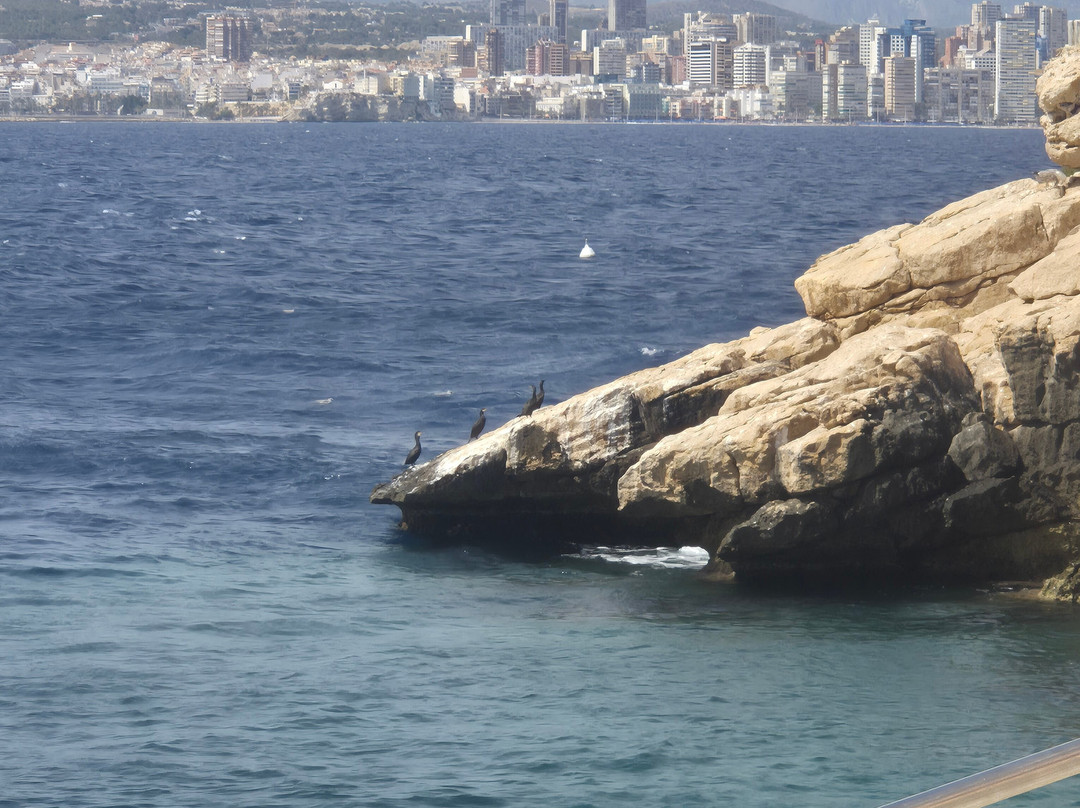 Isla de Benidorm-贝尼多姆必去景点