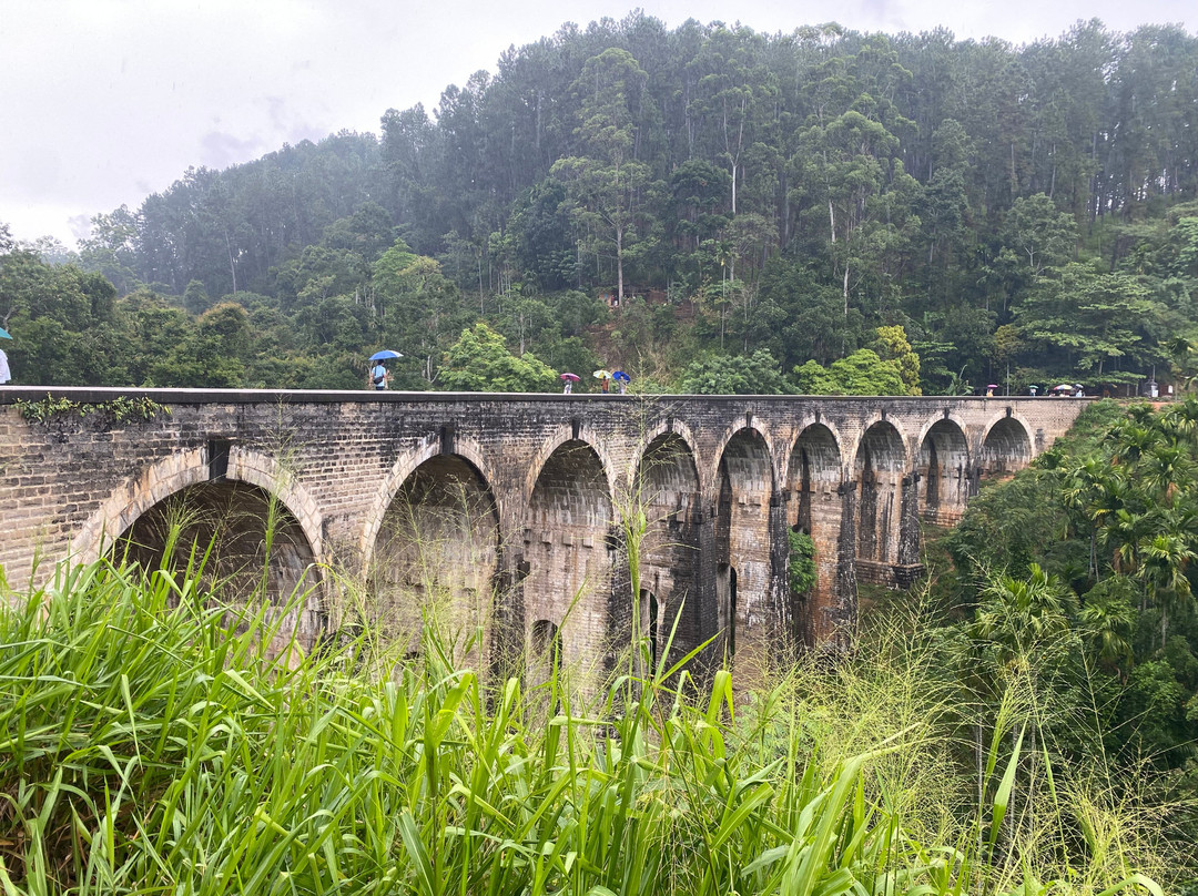 Driver in Sri Lanka-科伦坡必去景点