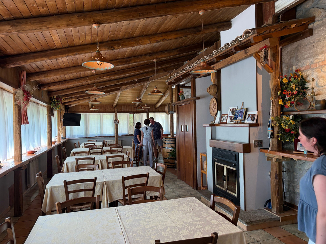 Vita Calabra Tours-阿尔托蒙泰必去景点