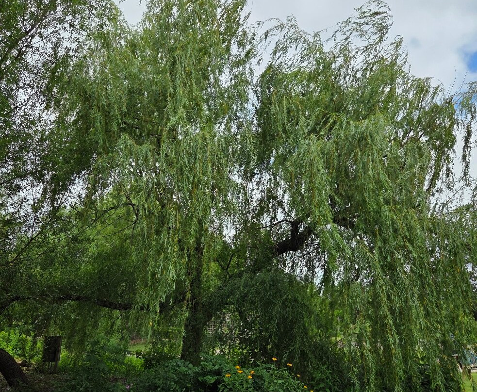McCrory Gardens-Brookings必去景点