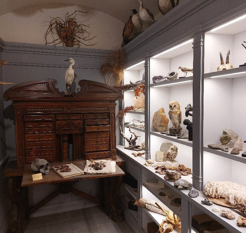 Orto e Museo Botanico di Pisa-比萨必去景点