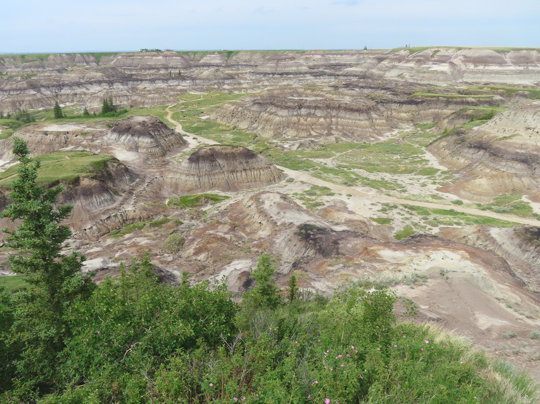 Horseshoe Canyon-德兰赫勒必去景点