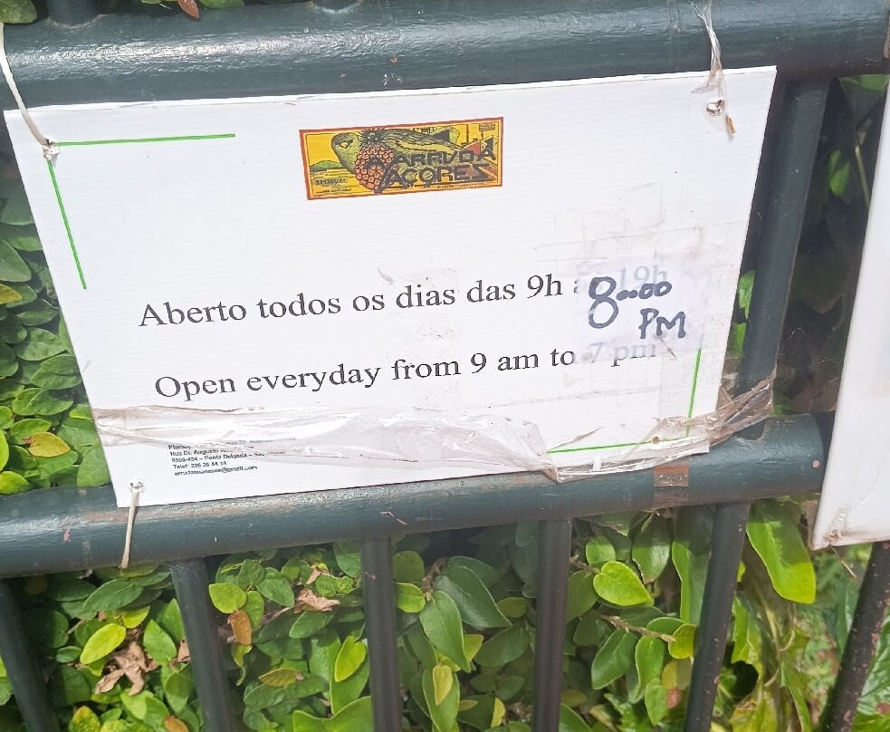 Plantação de Ananás dos Açores-蓬塔德尔加达必去景点