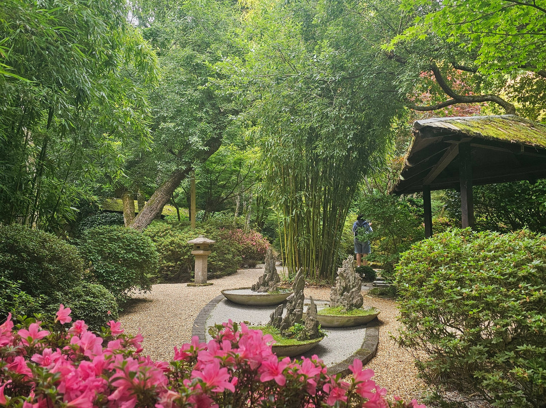 The Japanese Garden-St. Mawgan必去景点