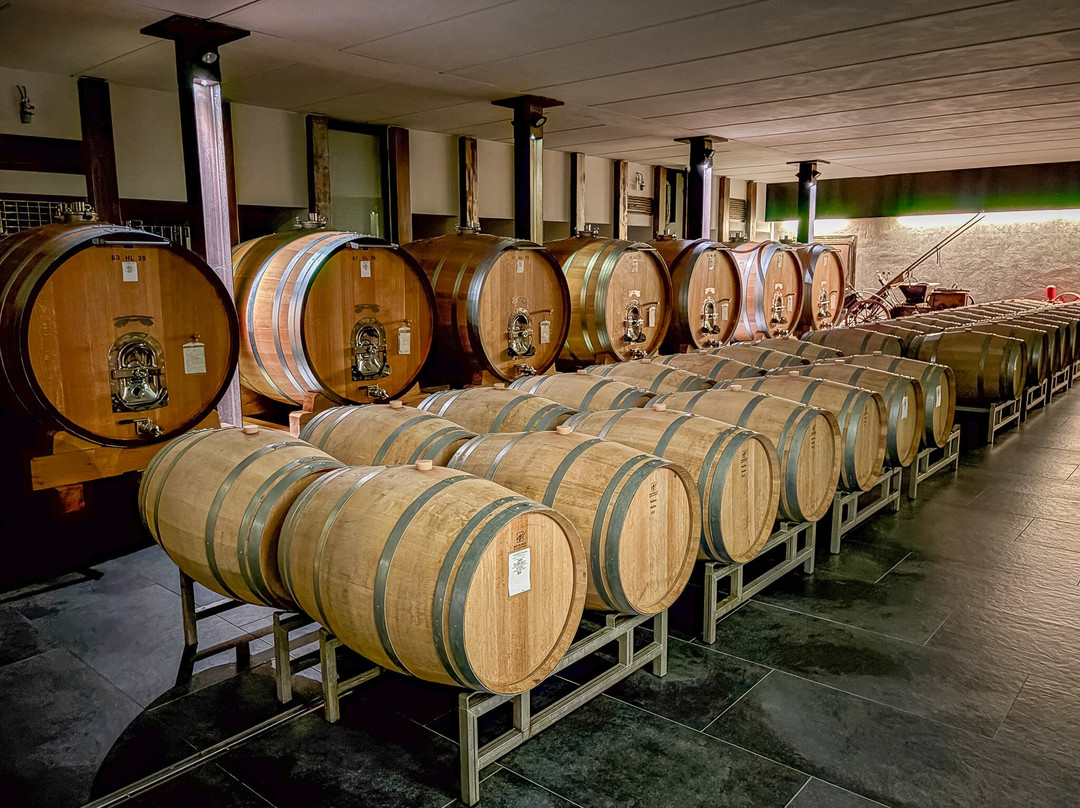 Azienda Agricola Conterno Fantino-蒙福特-达尔巴必去景点