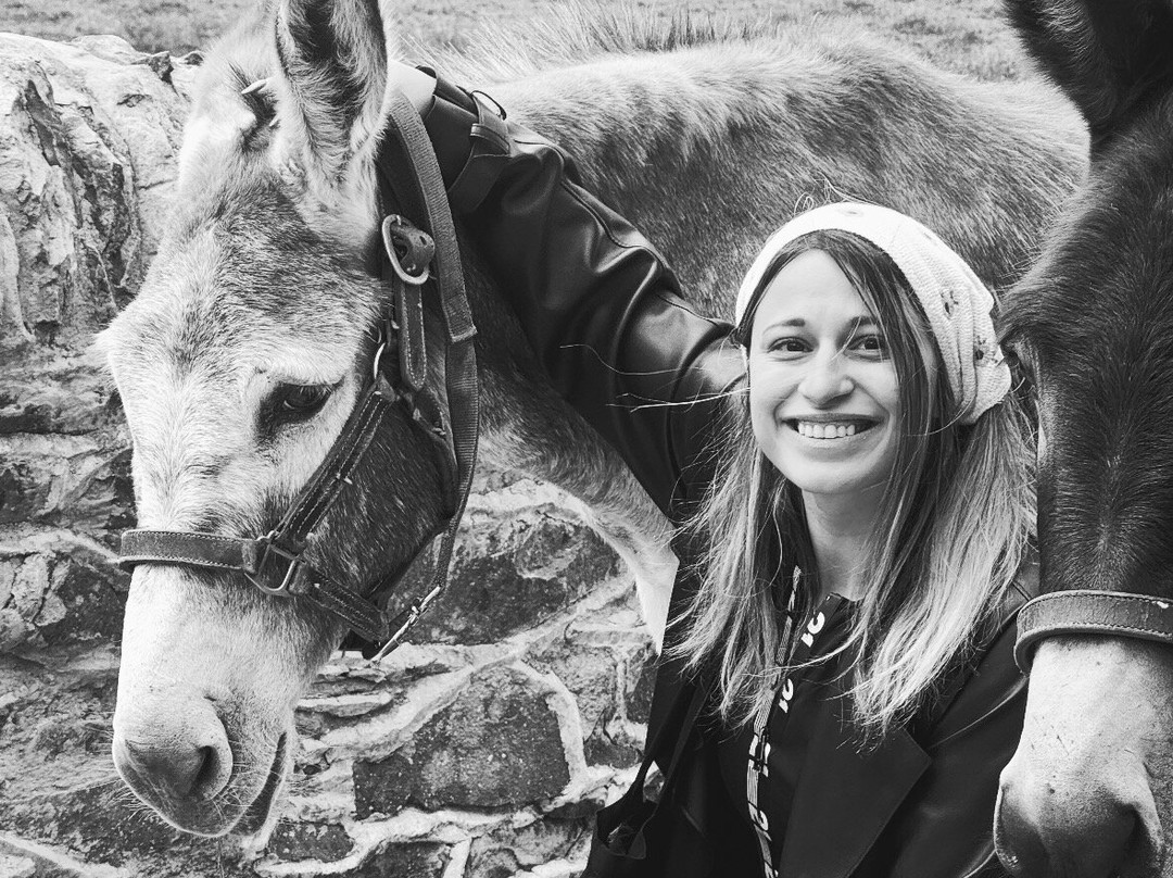 Kinedale Donkeys-Ballynahinch必去景点