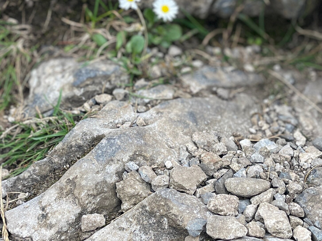 Queen Maeve's Cairn-斯特兰迪希尔必去景点