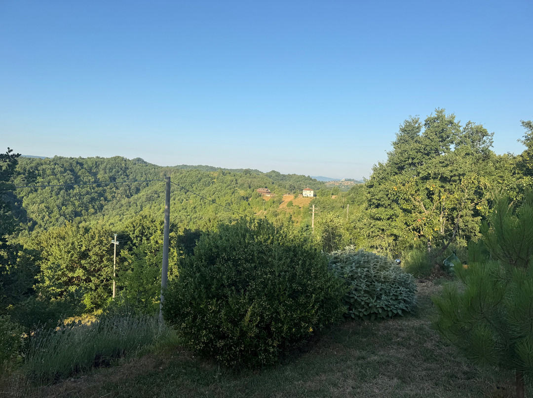 Moto Pareto B&B