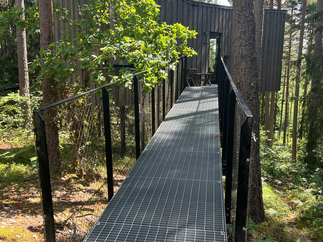 Trakt Forest Hotel主图
