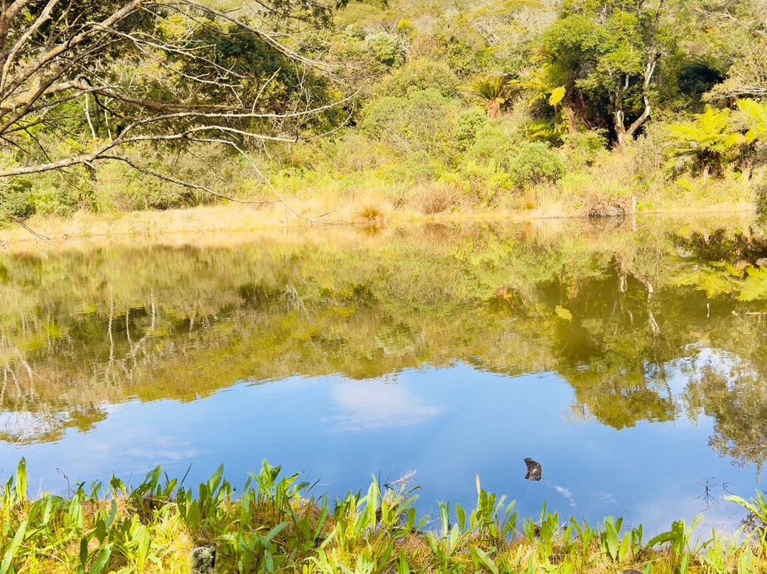 Mirante Serra Parque-Bom Jardim da Serra必去景点