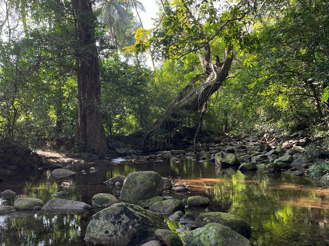 Osho Aranya Retreat Center-Naula必去景点