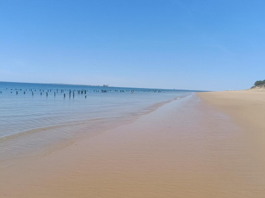Saumonards Beach-Saint-Georges-d'Oleron必去景点