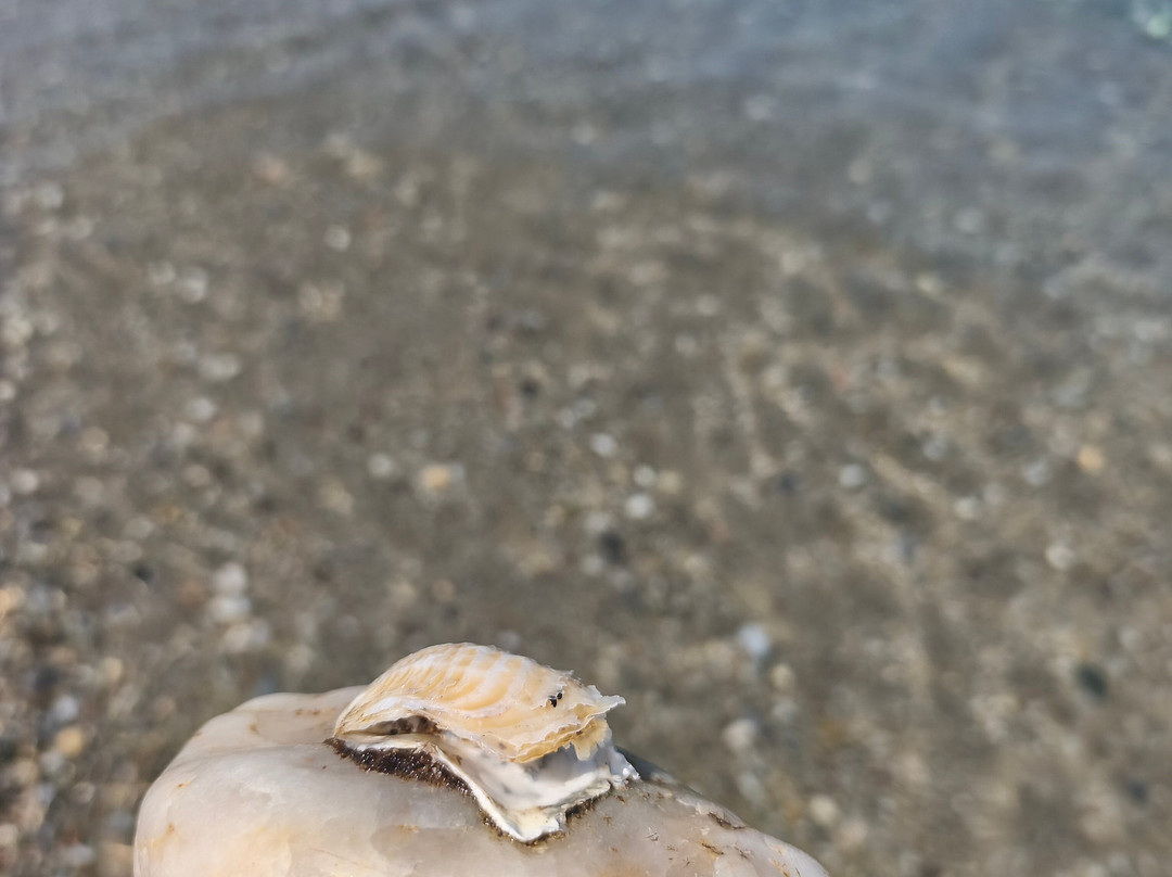 Kanatadika Beach-Kanatadika必去景点